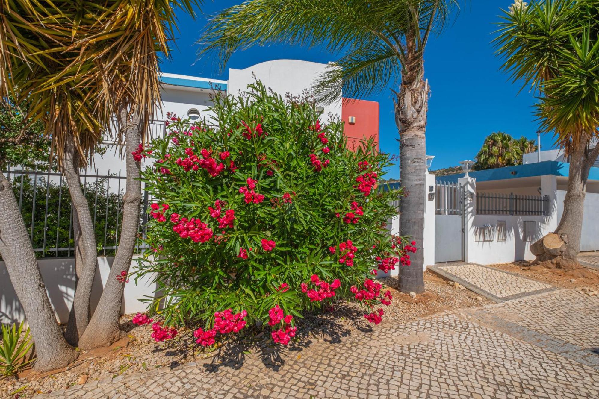 Capetown Marina Luxury Villa - Private Pool Albufeira Exterior photo